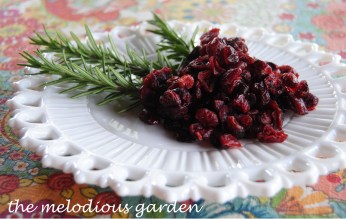 cranberry and rosemary