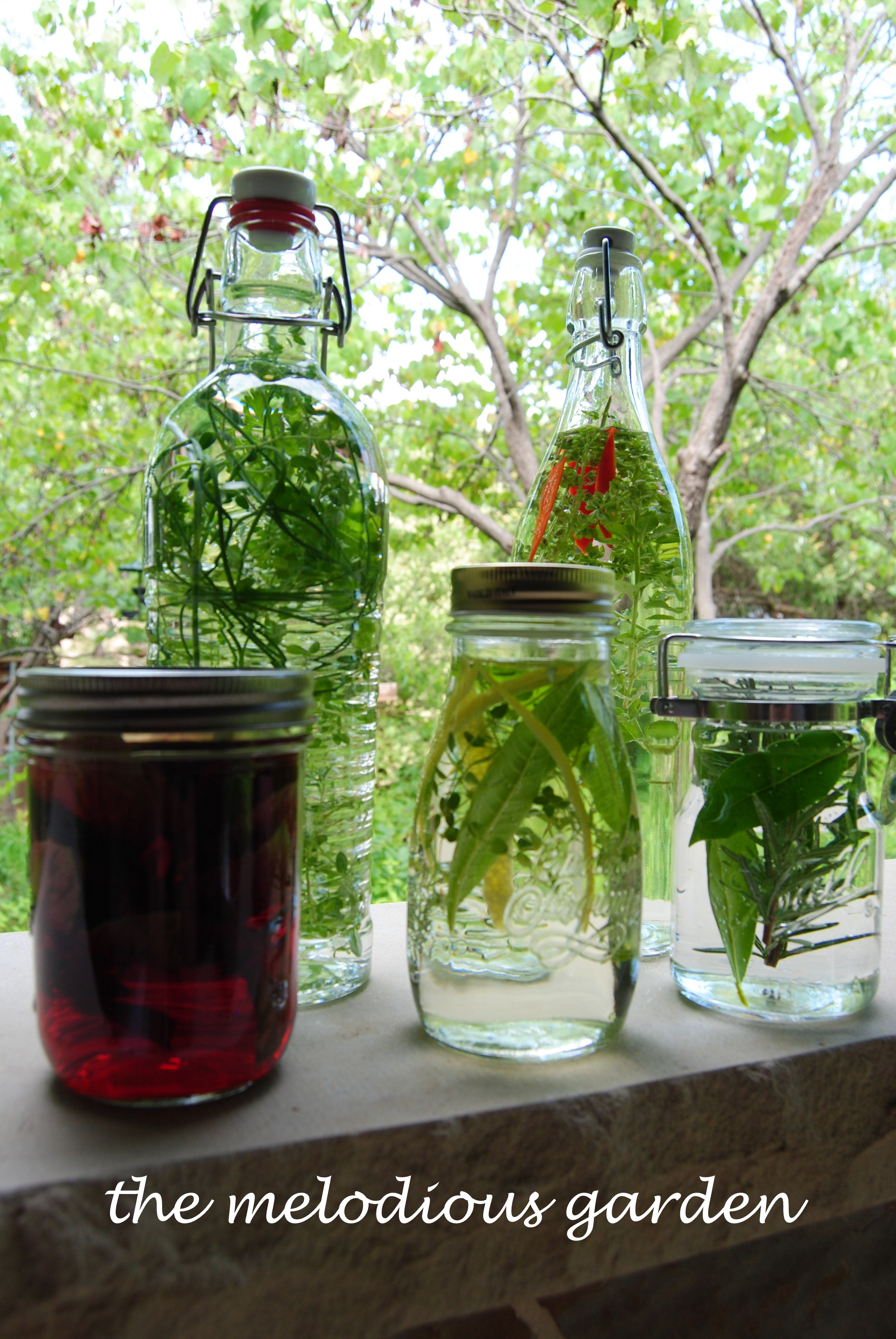 herbal vinegars