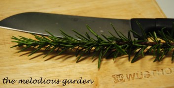 rosemary1