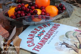 cranberry thanksgiving 1