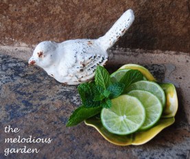 lime and mint picture