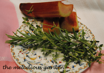 rhubarb with herbs