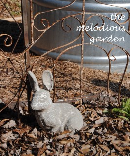 23 Garden Loves For Valentine’s Day ’23 – the melodious garden